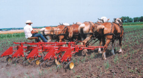 From Hand Hoes to Motor Cultivation Image